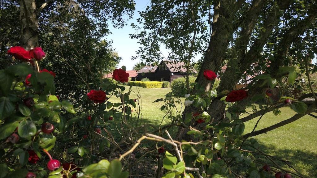 Apartamento Owls Nest - Peace And Tranquility Near Woodbridge & Framlingham In Rural Suffolk Exterior foto